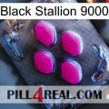 Black Stallion 9000 02